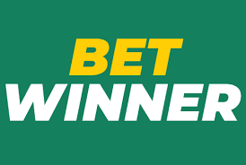 BetWinner vs BC.Game A Comprehensive Comparison BetWinner vs BC.Game A Comprehensive Comparison