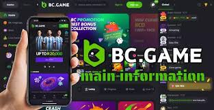 The Future of Online Gaming Exploring the BC.Game Platform