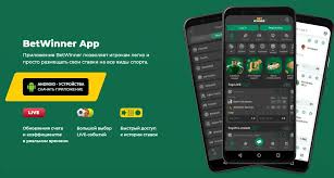 Experience Thrilling Gaming at BetWinner Online Casino