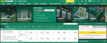 Explore the Exciting World of BetWinner Casino -831596792