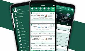 Explore the Exciting World of BetWinner Casino -831596792