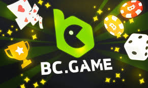 In-Depth BC.Game User Reviews Insights and Experiences