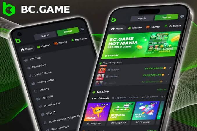 Platform Permainan Resmi BC GAME pengalaman dan ulasan